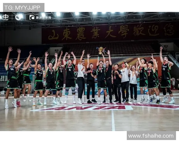 深圳篮球队在冠军赛中的表现分析与状态评估