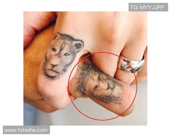 足球明星背部狮子纹身的寓意与故事揭秘让我们一起探索他们的个性与信念 足球明星背部狮子纹身的寓意与故事揭秘让我们一起探索他们的个性与信念