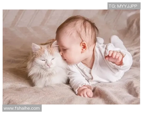 足球明星的育儿经与家庭生活的温馨故事