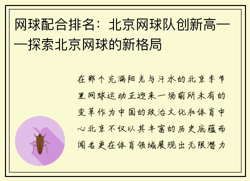 网球配合排名：北京网球队创新高——探索北京网球的新格局