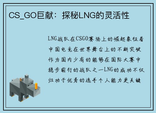 CS_GO巨献：探秘LNG的灵活性
