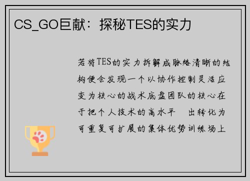 CS_GO巨献：探秘TES的实力